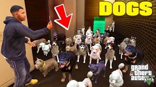 Franklin Rescued Every innocent Dog From Army in Los Santos | Gta 5 Shin chan in Telugu