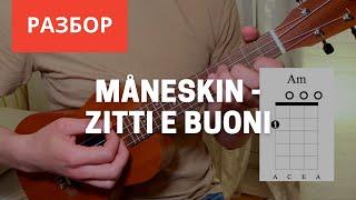 Maneskin - ZITTI E BUONI Полный разбор на Укулеле