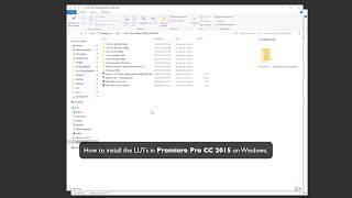 How to install the LUTs in Premiere Pro CC 2019 (Windows)