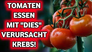 Iss niemals Tomaten mit diesem! Dringende Warnung vor Krebs- und Demenzrisiken.