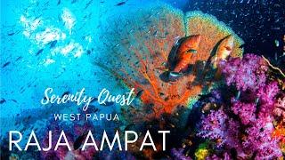 THE UNDERWATER  EDEN OF RAJA AMPAT︱WEST PAPUA - INDO PACIFIC OCEAN︱WORLD BEST DIVING︱4K VIDEO