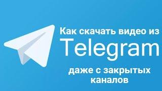 Как скачать видео с Telegram, даже с закрытых каналов