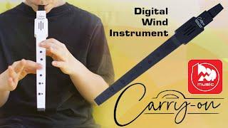 [Eng Sub] Carry-On Digital Wind Instrument