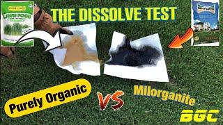 Milorganite VS Purely Organic. Purely Organic results