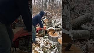 Hand Splitting Maple