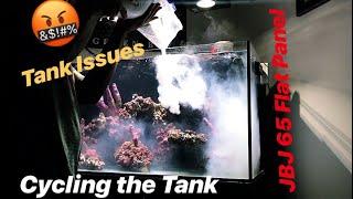 | Ep.6 | Cycling the Reef tank & Major Setbacks