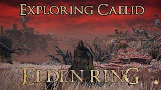 Elden Ring - Exploring the Caelid Region