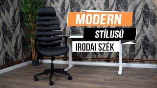 Prémium ergonomikus, irodai szék, forgószék, fekete (SK-728H BLACK)