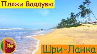 Шри-Ланка | Ваддува | Море и Пляжи | Влог