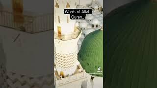 #Quran #wordsofallah #islamicvideo #قرآن #viralfypシ #trendingislamic