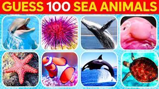 Guess 100 Sea Animals | How much do you know about Sea Animals?  Trivia Quiz