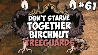 Birchnut Treeguards & The Dressing Room - Don't Starve Together Gameplay - Part 61