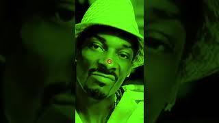 SNOOP DOGG THE NEXT EPISODE 