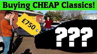 Buying CHEAP Classic Cars!