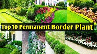 Top 10 Border Plants used in Landscape/Most commonly used edge plants in landscape/Landscaping Plant