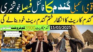 Wheat Support Price 2025 in Punjab Pakistan I 4k point Official/wheat price,پاکستان میں گندم کی قیمت