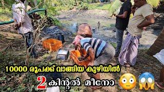 10000 രൂപക്ക് വാങ്ങിയ കുഴി വറ്റിച്ചപ്പോൾ 200kg  മീനോ | Village Fishing