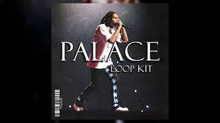 FREE Lil Durk Loop Kit - Palace (Lil Durk, Lil Baby, 4PF, Dark, Future, Melodic Loop Kit 2024)