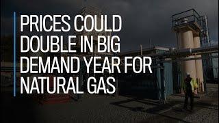 Prices could double in big demand year for natural gas