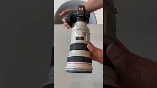 Have you ever seen the Canon EF 300mm f2.8?! #shorts #photography #camerahacks #Canon