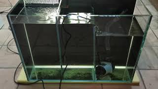 Проверка аквариума с задним сампом 100*50*35. Будущий морской аквариум. Конструкция сампа.
