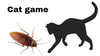 Cockroach On the screen to make fun with cat | cat games