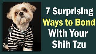 7 Surprising Ways to Bond With Your Shih Tzu - You'll Be Amazed At What Happens Next!