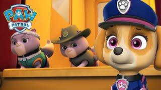 Misja ratunkowa: pieski ratują królewskie kocięta! - Psi Patrol PAW Patrol po polsku