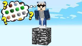 MINECRAFT WITHOUT ANY BLOCKS!