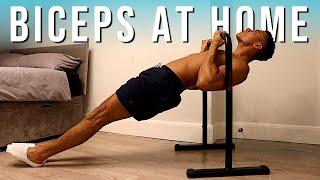 5 Home Calisthenics Biceps Exercises on Parallel Bars | Calisthenics Workout at Home (BIG BICEPS)