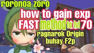 ragnarok Origin how to gain exp fast method to lvl 70 by roronoa zoro