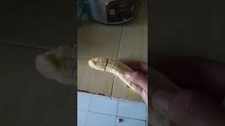 Tutorial Goreng Sang Pisang #shorts