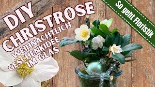 Geschenkidee-DIY Weihnachtliche Christrose im Glas I Anleitung zum selber machen Dekotipp