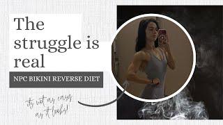 NPC Bikini Prep Reverse Diet | struggle bus central