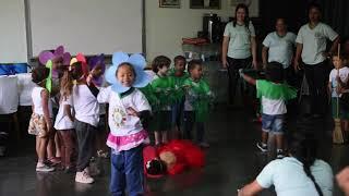 A linda rosa juvenil   Creche Irmão Otho