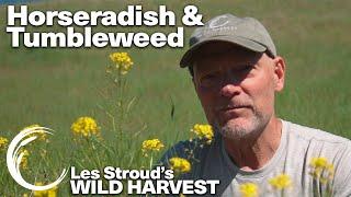 WILD HARVEST | HORSERADISH & TUMBLEWEED| LES STROUD | PAUL ROGALSKI