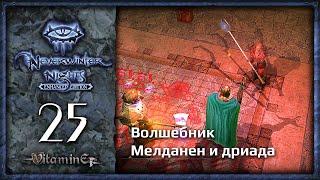 Волшебник Мелданен и дриада - Neverwinter Nights: Enhanced Edition  - Прохождение за барда - #25