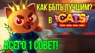 Всего 1 СОВЕТ Как Достичь УСПЕХА в C.A.T.S!