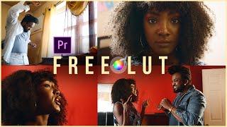 DOWNLOAD THE BEST FREE CUSTOM LUT ON THE INTERNET + HOW TO APPLY IT