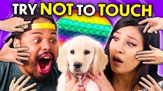 Try Not To Touch Challenge! (Puppies, Cats, Pop-Its) | React