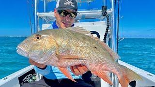 Easiest Way To Chum Up & Catch Snapper (Step By Step Tutorial)