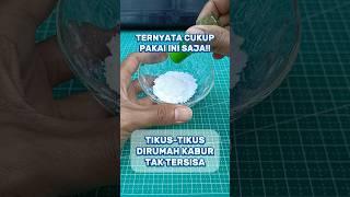 Tips mudah mengusir tikus dirumah #creatorkampung #tikus #tutorial #tipspraktis #tipssederhana #unik