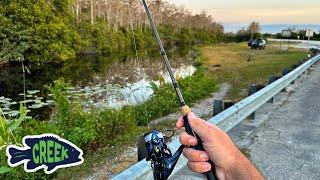 Roadside Fishing through the Everglades