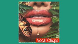 [FREE] VOCAL CHOPS SAMPLE PACK (+10 Royalty Free) vocal samples | vol:26