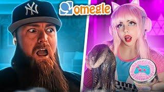 BELLE DELPHINE Goes On Omegle AGAIN