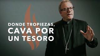 Donde Tropiezas, Cava por un Tesoro - Sermón del Domingo del obispo Robert Barron