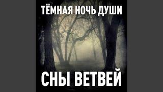 Тёмная ночь души