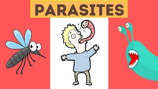 What is a parasite? Definition and Examples