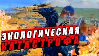 Крушение российских танкеров в Керченском проливе привело к катастрофе. Берег, птицы - все в мазуте