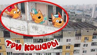 ТРИ КОШАРЫ НАШЕЛ ИХ ДОМ ! Дрон снял 3 кота на камеру ! Мульт пародия ! цицерон